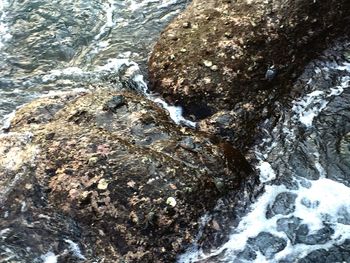 High angle view of frozen ice