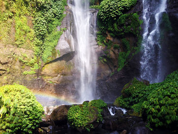 View of waterfall in forest