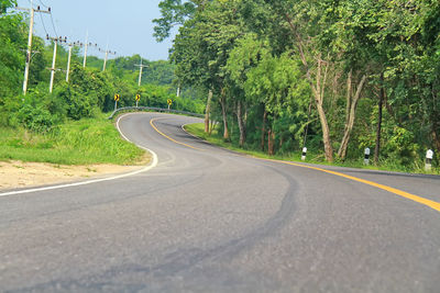 Surface level of road by trees in city