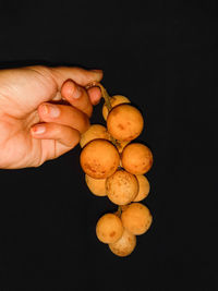 Close-up of hand holding fruit against black background