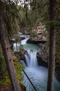 Scenic view of waterfall in forest