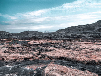 Scenic view of landscape against sky