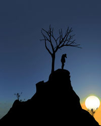 Low angle view of silhouette bare tree against clear sky at sunset