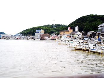 Boats moored at harbor against clear sky