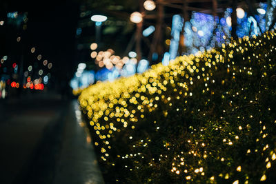 Defocused lights at night