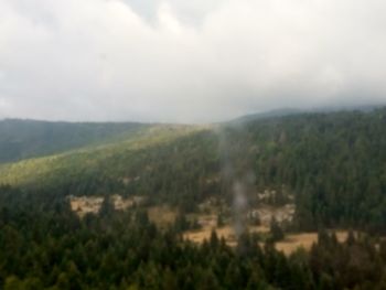 Scenic view of trees on field against sky