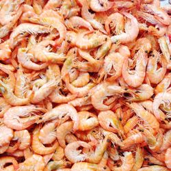 Full frame shot of prawns for sale