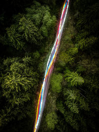 Light trails on road in forest at night