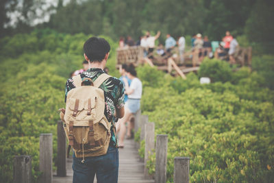 Rear view of man standing on boardwalk by plants