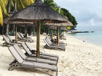 Loungers arranged alongside a white sand beach