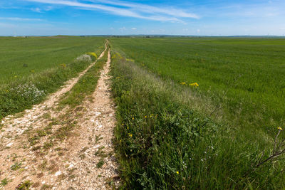 View of dirt road in vast field