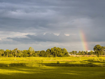 Scenic view of field against rainbow in sky
