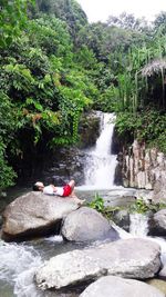 Scenic view of waterfall in forest