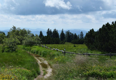 Scenic view of grassy field against cloudy sky