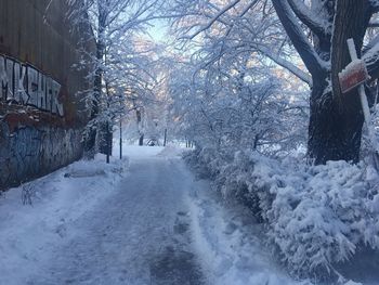 Snow covered street amidst trees and buildings