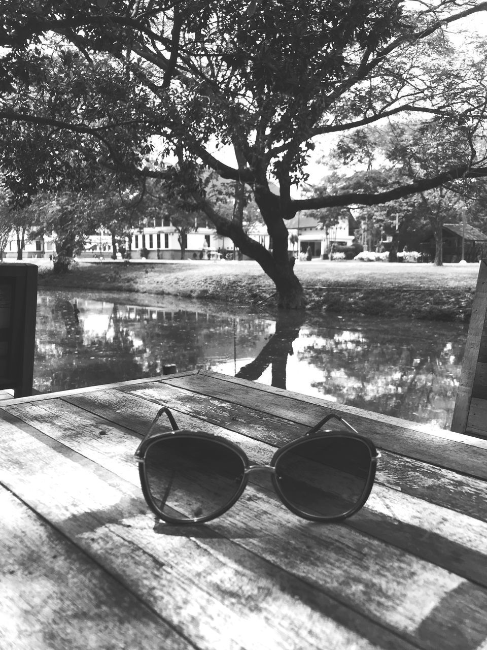 tree, glasses, plant, sunglasses, day, fashion, nature, no people, architecture, outdoors, water, wood - material, built structure, reflection, wood, table, building exterior, sunlight, absence, personal accessory, canal, eyewear
