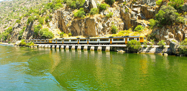 Bridge over river against trees