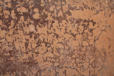 Full frame shot of weathered wall