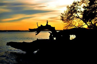 Silhouette of tree against sky at sunset