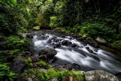 Stream flowing through rocks in forest