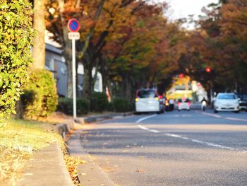 Road amidst trees during autumn