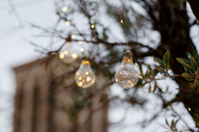 Street lamps hang on a tree in the streets of old dubai, close-up