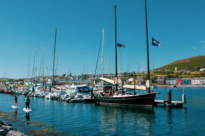 Sailboats moored in harbor