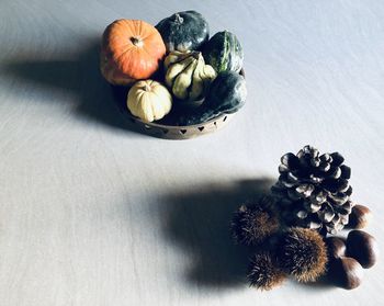 High angle view of pine cone on table