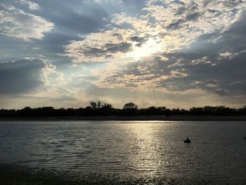 Swan swimming in lake against sky during sunset