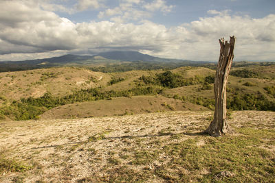 Scenic view of landscape against cloudy sky