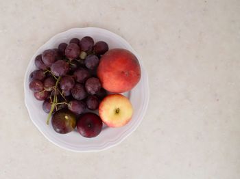 Directly above shot of apples in bowl on table