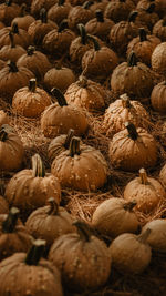 Full frame shot of pumpkins in market