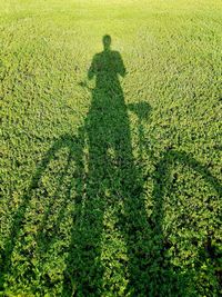 Shadow of person on field