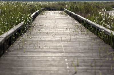 Empty boardwalk by grassy field on sunny day