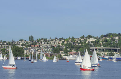 Sailboats sailing in sea against clear sky