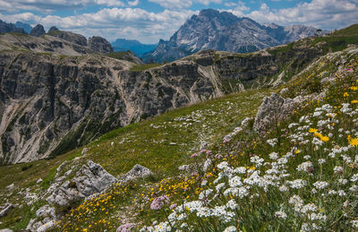 Scenic view of landscape and mountains against sky