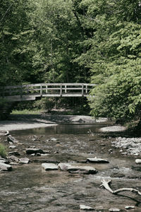 Footbridge over river