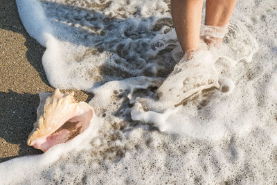 Low section of person standing on beach