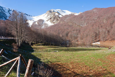 Scenic view of snowcapped mountains against clear sky