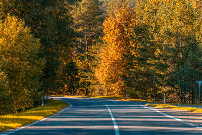 Country road amidst trees in forest during autumn