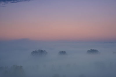 Silhouette trees against sky during sunset