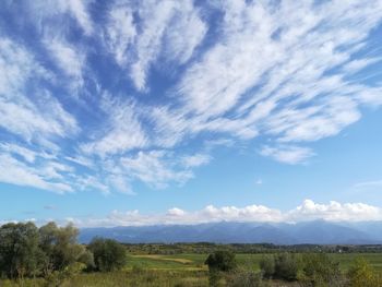 Scenic view of field against sky