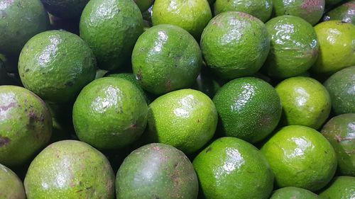 Full frame shot of avocado fruits in traditional market