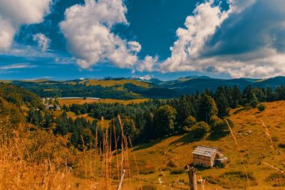 Scenic view of landscape against sky