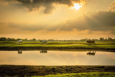 Scenic view of lake against sky during sunset