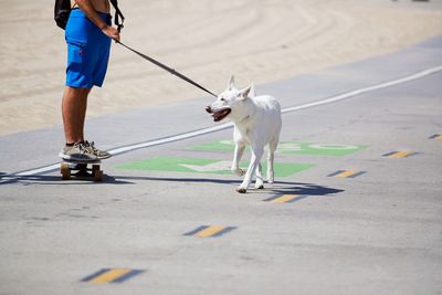 Low section of person with dog on street