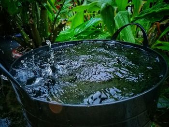 Water drops on leaf