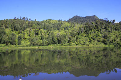 Scenic view of lake against clear sky