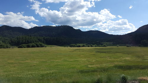 Scenic view of landscape against cloudy sky