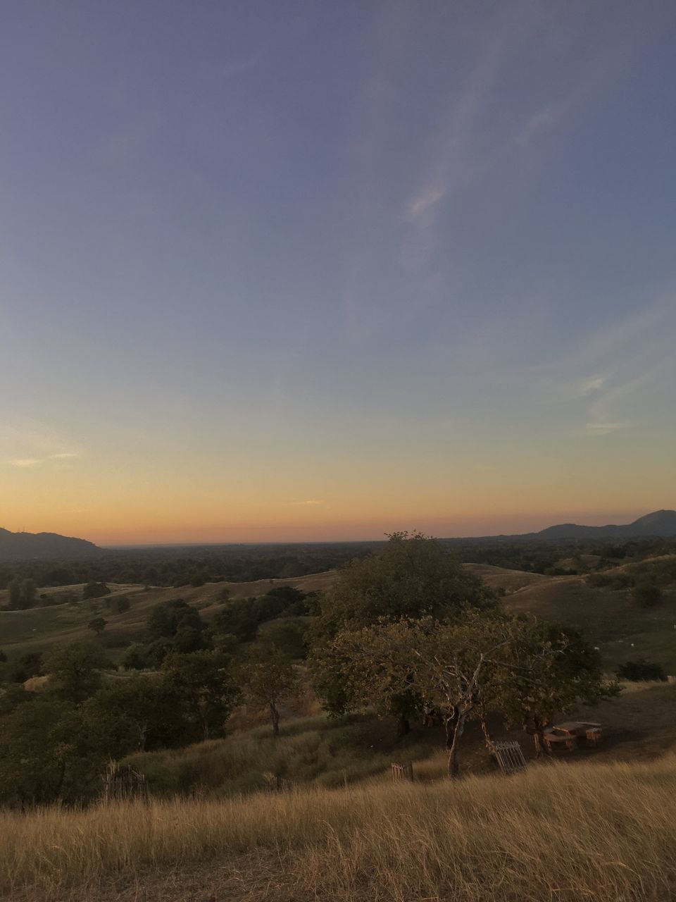 sky, scenics - nature, beauty in nature, landscape, tranquility, environment, horizon, tranquil scene, plant, natural environment, nature, hill, land, plain, morning, cloud, dawn, no people, non-urban scene, field, grass, idyllic, sunrise, tree, prairie, outdoors, remote, growth, sunlight, grassland, rural area, steppe, horizon over land